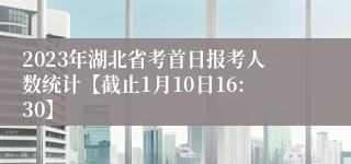 2023年湖北省考首日报考人数统计【截止1月10日16:30】