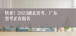 快来！2023湖北省考、广东省考正在报名