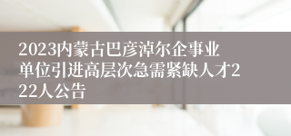 2023内蒙古巴彦淖尔企事业单位引进高层次急需紧缺人才222人公告