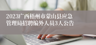 2023广西梧州市蒙山县应急管理局招聘编外人员3人公告