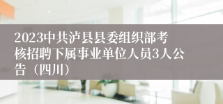 2023中共泸县县委组织部考核招聘下属事业单位人员3人公告（四川）