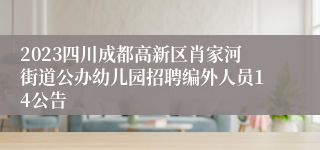 2023四川成都高新区肖家河街道公办幼儿园招聘编外人员14公告