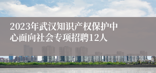 2023年武汉知识产权保护中心面向社会专项招聘12人