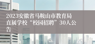 2023安徽省马鞍山市教育局直属学校“校园招聘”30人公告