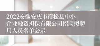 2022安徽安庆市宿松县中小企业融资担保有限公司招聘拟聘用人员名单公示