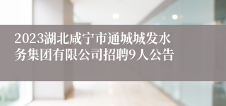 2023湖北咸宁市通城城发水务集团有限公司招聘9人公告