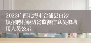 2023广西北海市合浦县白沙镇招聘村级防贫监测信息员拟聘用人员公示