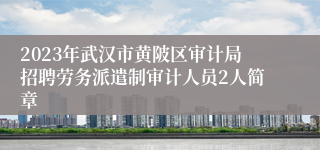 2023年武汉市黄陂区审计局招聘劳务派遣制审计人员2人简章