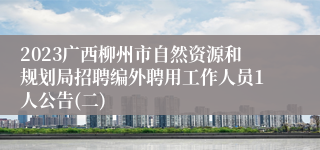 2023广西柳州市自然资源和规划局招聘编外聘用工作人员1人公告(二)