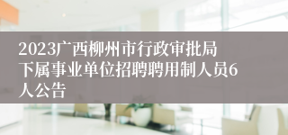 2023广西柳州市行政审批局下属事业单位招聘聘用制人员6人公告