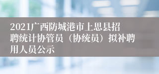 2021广西防城港市上思县招聘统计协管员（协统员）拟补聘用人员公示