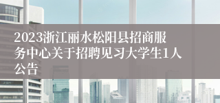 2023浙江丽水松阳县招商服务中心关于招聘见习大学生1人公告