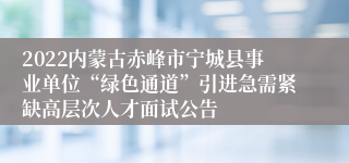 2022内蒙古赤峰市宁城县事业单位“绿色通道”引进急需紧缺高层次人才面试公告