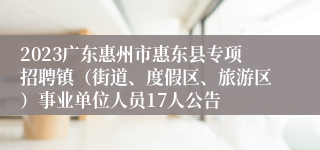 2023广东惠州市惠东县专项招聘镇（街道、度假区、旅游区）事业单位人员17人公告