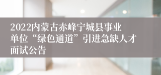 2022内蒙古赤峰宁城县事业单位“绿色通道”引进急缺人才面试公告 