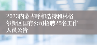 2023内蒙古呼和浩特和林格尔新区国有公司招聘25名工作人员公告