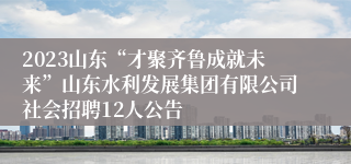 2023山东“才聚齐鲁成就未来”山东水利发展集团有限公司社会招聘12人公告