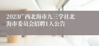 2023广西北海市九三学社北海市委员会招聘1人公告