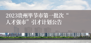 2023贵州毕节市第一批次“人才强市”引才计划公告