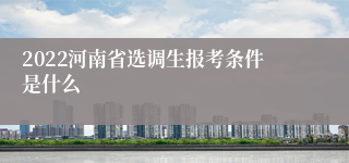 2022河南省选调生报考条件是什么