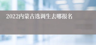 2022内蒙古选调生去哪报名