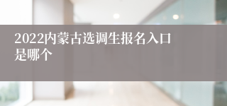 2022内蒙古选调生报名入口是哪个