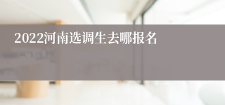 2022河南选调生去哪报名