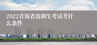 2022青海省选调生考试考什么条件