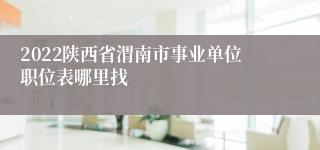 2022陕西省渭南市事业单位职位表哪里找