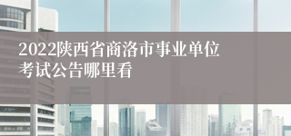 2022陕西省商洛市事业单位考试公告哪里看