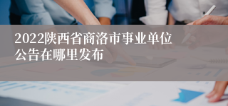 2022陕西省商洛市事业单位公告在哪里发布