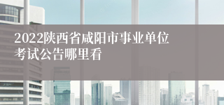 2022陕西省咸阳市事业单位考试公告哪里看