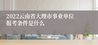 2022云南省大理市事业单位报考条件是什么