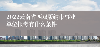 2022云南省西双版纳市事业单位报考有什么条件