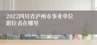 2022四川省泸州市事业单位职位表在哪里