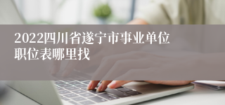 2022四川省遂宁市事业单位职位表哪里找