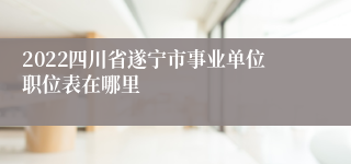 2022四川省遂宁市事业单位职位表在哪里