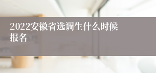 2022安徽省选调生什么时候报名