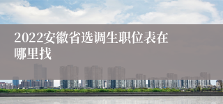 2022安徽省选调生职位表在哪里找