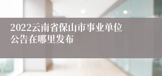 2022云南省保山市事业单位公告在哪里发布