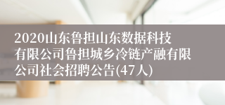 2020山东鲁担山东数据科技有限公司鲁担城乡冷链产融有限公司社会招聘公告(47人)