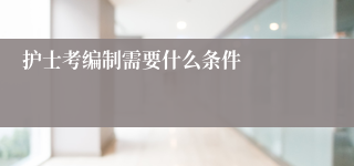 护士考编制需要什么条件