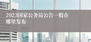 2023国家公务员公告一般在哪里发布