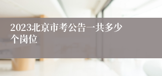 2023北京市考公告一共多少个岗位