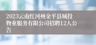 2023云南红河州金平县城投物业服务有限公司招聘12人公告