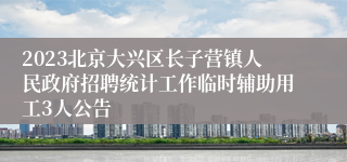 2023北京大兴区长子营镇人民政府招聘统计工作临时辅助用工3人公告