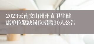 2023云南文山州州直卫生健康单位紧缺岗位招聘30人公告