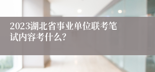 2023湖北省事业单位联考笔试内容考什么？