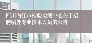 四川内江市检验检测中心关于招聘编外专业技术人员的公告