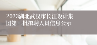 2023湖北武汉市长江设计集团第三批拟聘人员信息公示